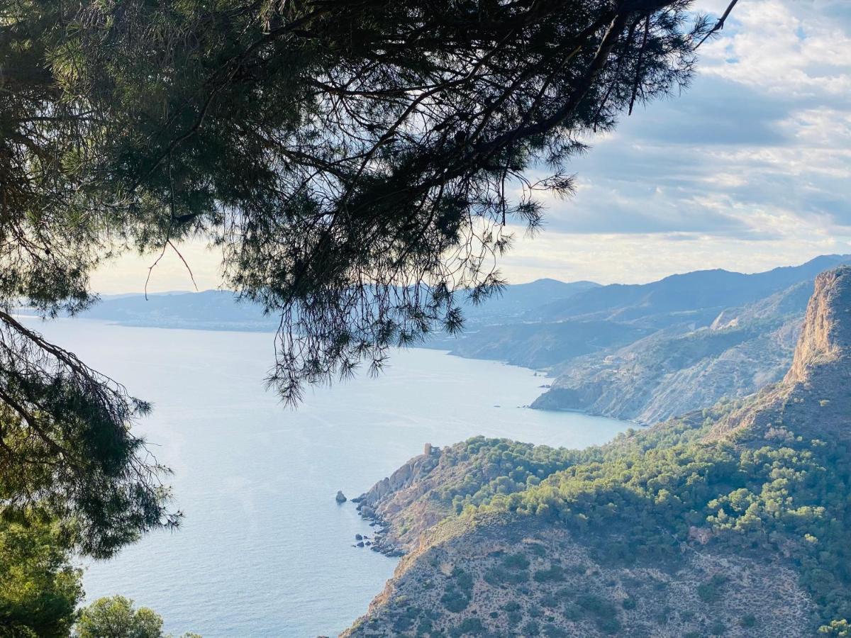 Jardines De Adnania En Marina Del Este Con Vistas Al Mar Ла-Эррадура Экстерьер фото